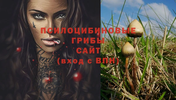 мяу мяу мука Дмитров