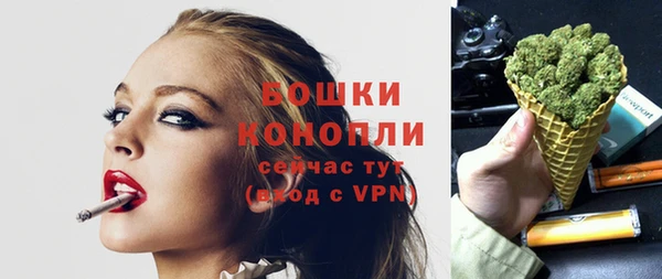 стаф Дмитриев
