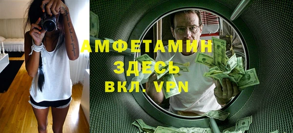 стаф Дмитриев