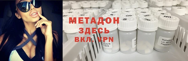 стаф Дмитриев