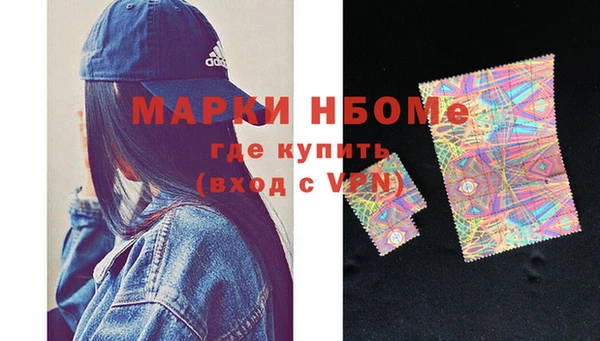стаф Дмитриев