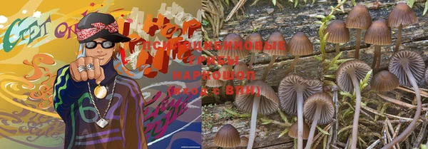 стаф Дмитриев