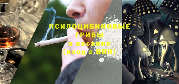 мяу мяу мука Дмитров
