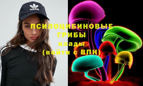 эйфоретик Дмитровск