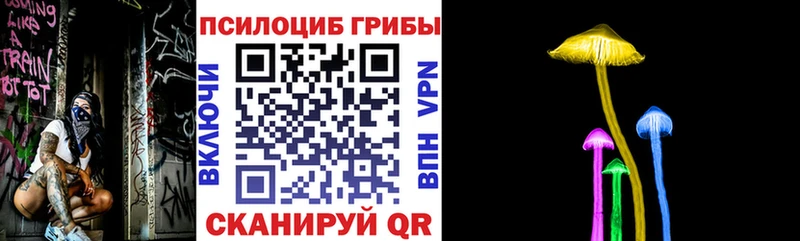 Псилоцибиновые грибы GOLDEN TEACHER  Купить  Осинники 